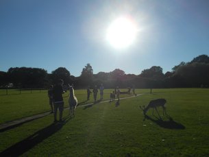 Summercamp Heino
